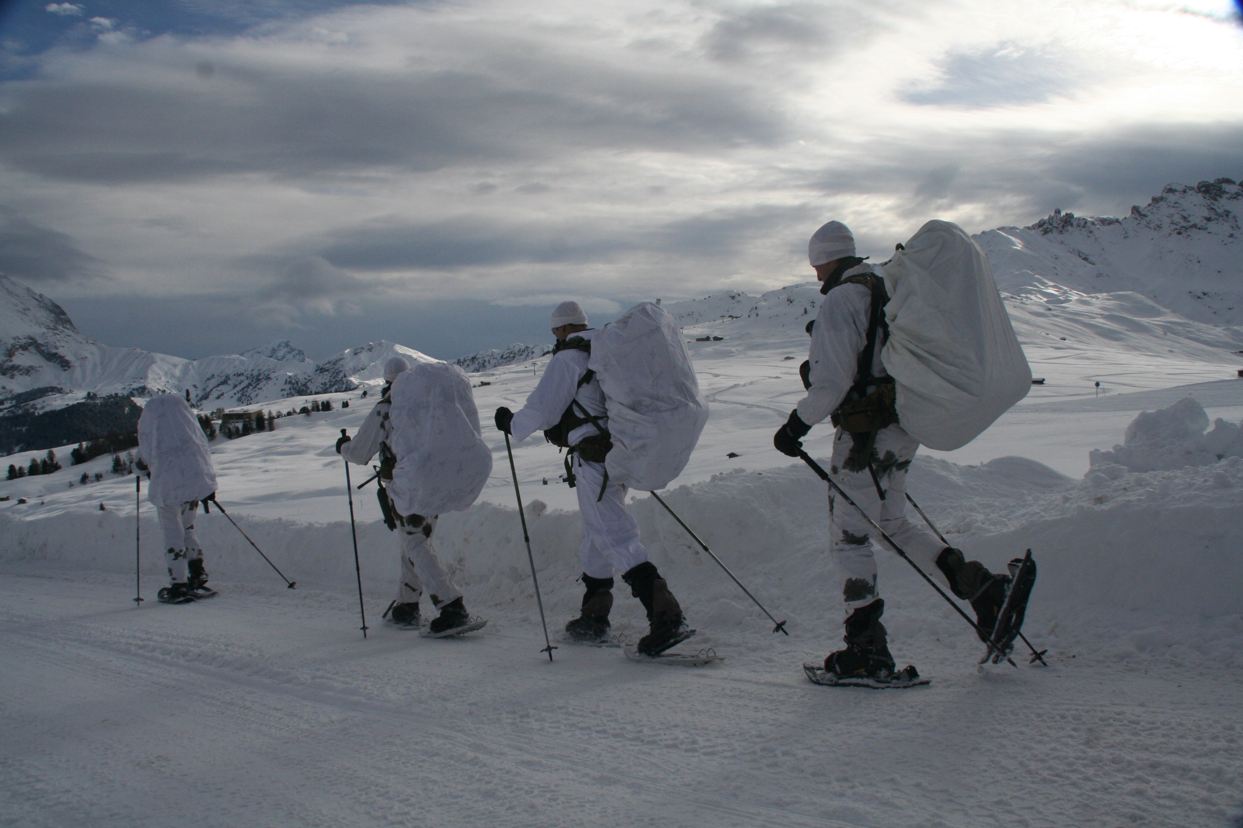 Lanci su alpe di siusi.jpg